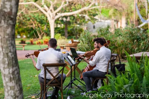 Classern Quartet	performing at the garden